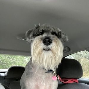 Meet your Posher, John